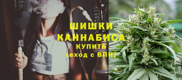 винт Ладушкин