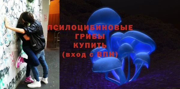 винт Ладушкин